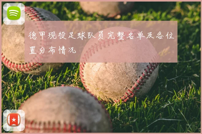 德甲现役足球队员完整名单及各位置分布情况
